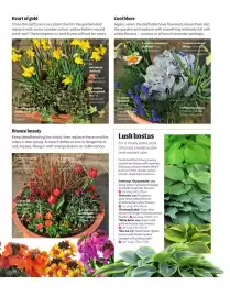 Squires Garden Centres leaflet Page 43