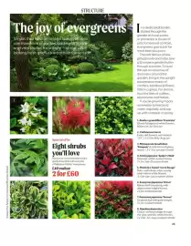 Squires Garden Centres leaflet Page 45