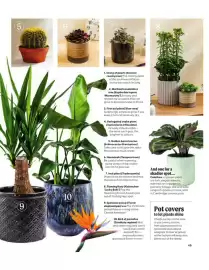 Squires Garden Centres leaflet Page 49