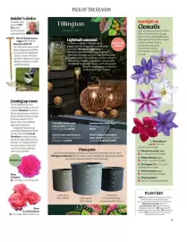 Squires Garden Centres leaflet Page 5