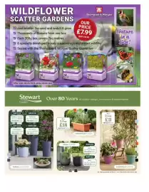 Squires Garden Centres leaflet Page 6