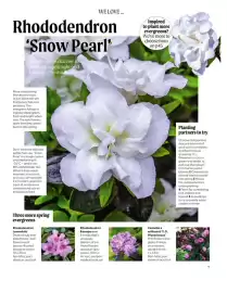 Squires Garden Centres leaflet Page 7