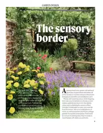 Squires Garden Centres leaflet Page 9