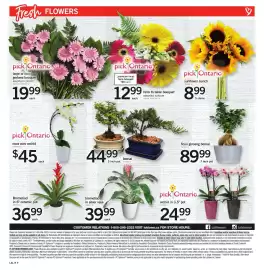 Loblaws flyer week 28 Page 8