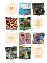 Catalogue Satoriz page 2