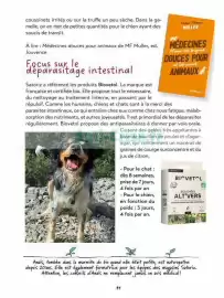 Catalogue Satoriz page 41