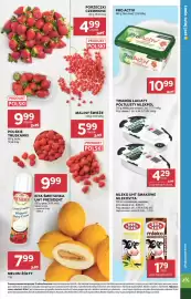 Stokrotka Market gazetka tydzień 28 Strona 11