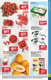 Stokrotka Market gazetka tydzień 28 Strona 21