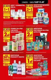 Biedronka gazetka Strona 17