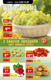 Biedronka gazetka Strona 20