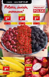 Biedronka gazetka Strona 22