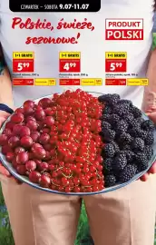 Biedronka gazetka Strona 74