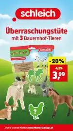 Thomas Philipps Prospekt woche 29 Seite 6