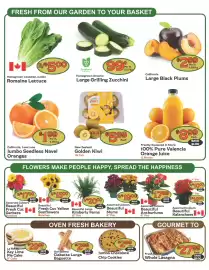 The Garden Basket flyer week 28 Page 2