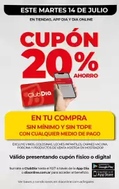 Folleto Supermercados DIA semana 28 Página 13