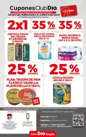 Folleto Supermercados DIA semana 28 Página 14