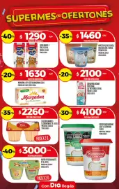 Folleto Supermercados DIA semana 28 Página 20