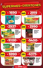 Folleto Supermercados DIA semana 28 Página 22