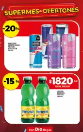 Folleto Supermercados DIA semana 28 Página 25