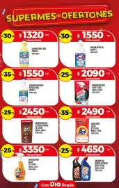 Folleto Supermercados DIA semana 28 Página 30