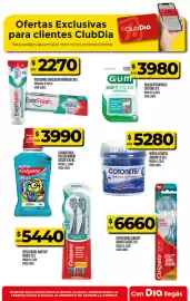Folleto Supermercados DIA semana 28 Página 31