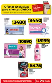 Folleto Supermercados DIA semana 28 Página 32