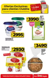 Folleto Supermercados DIA semana 28 Página 33