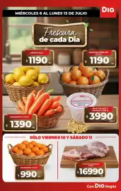 Folleto Supermercados DIA semana 28 Página 7