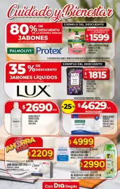 Folleto Supermercados DIA semana 28 Página 8