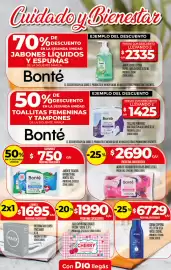 Folleto Supermercados DIA semana 28 Página 9