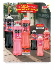 Catálogo Ara semana 28 Página 6