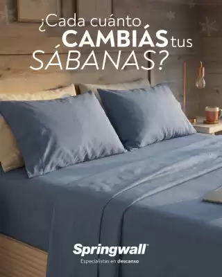 Springwall (válido hasta 31-07)