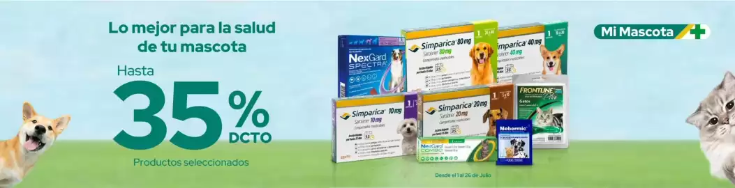 Catálogo Cruz Verde Página 5