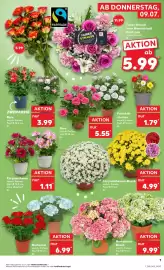 Kaufland Prospekt woche 28 Seite 7