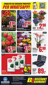 B1 Discount Baumarkt Prospekt woche 29 Seite 8