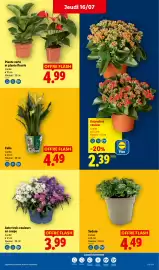 Catalogue Lidl semaine 29 page 27