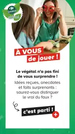 Catalogue Carrefour page 22