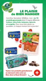 Catalogue Carrefour page 8