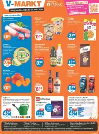 V Markt Prospekt woche 29 Seite 19