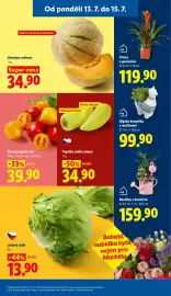 Lidl leták Strana 15