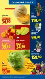 Lidl leták Strana 15