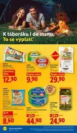 Lidl leták Strana 24