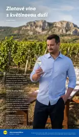 Lidl leták Strana 46