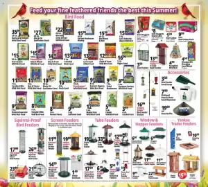 Ocean State Job Lot flyer week 28 Page 22