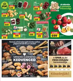 Interspar akciós újság hét 28 Oldal 42