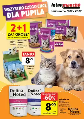 Intermarche gazetka (ważność do 22-07)