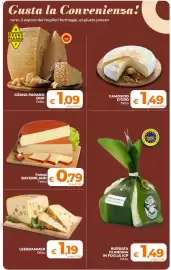 Volantino Ipercoop Pagina 13