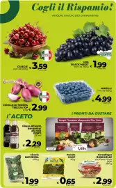 Volantino Ipercoop Pagina 25