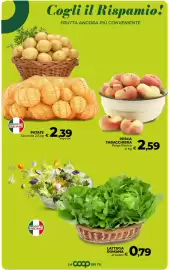 Volantino Ipercoop Pagina 26