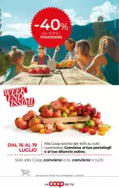 Volantino Ipercoop Pagina 60